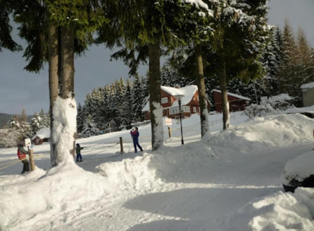 Relax Harrachov Apartments Exterior photo